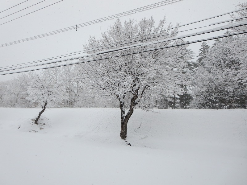 ファイル 38-5.jpg