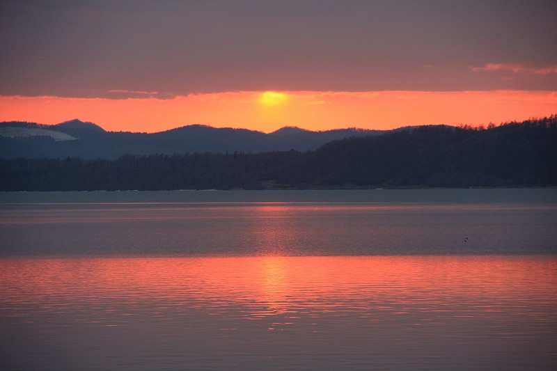 ファイル 39-1.jpg