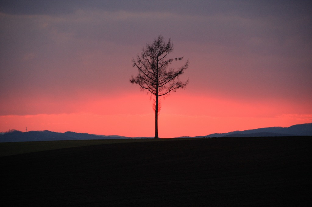 ファイル 39-6.jpg