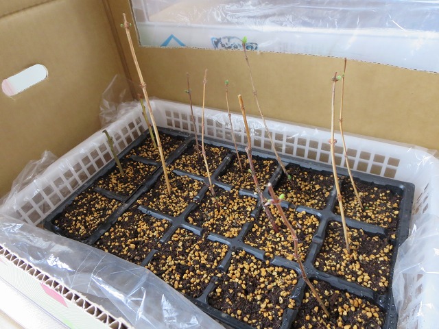 ファイル 40-8.jpg