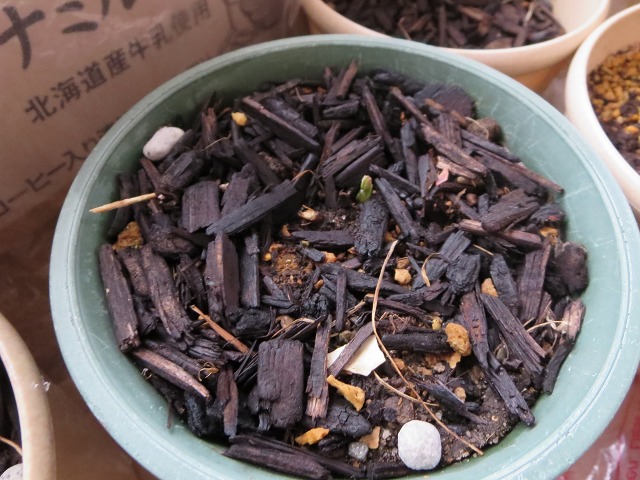 ファイル 40-9.jpg