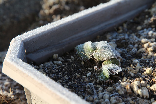 ファイル 41-2.jpg