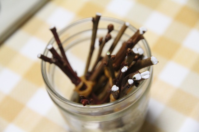 ファイル 41-3.jpg