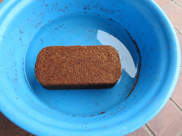 ファイル 42-2.jpg