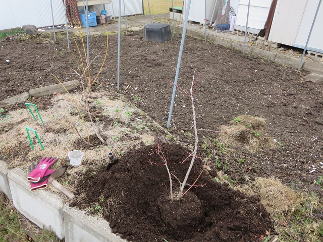 ファイル 42-3.jpg