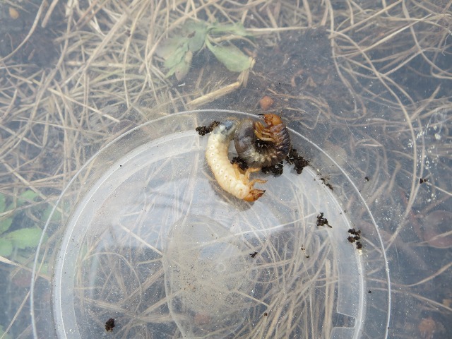 ファイル 42-4.jpg