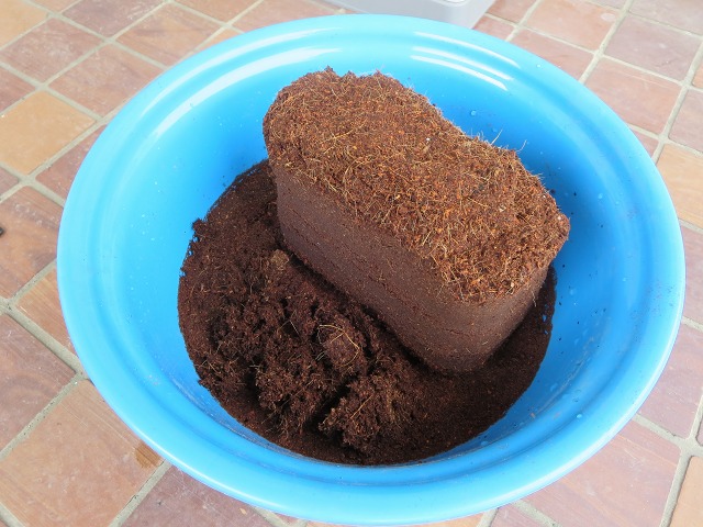 ファイル 42-5.jpg