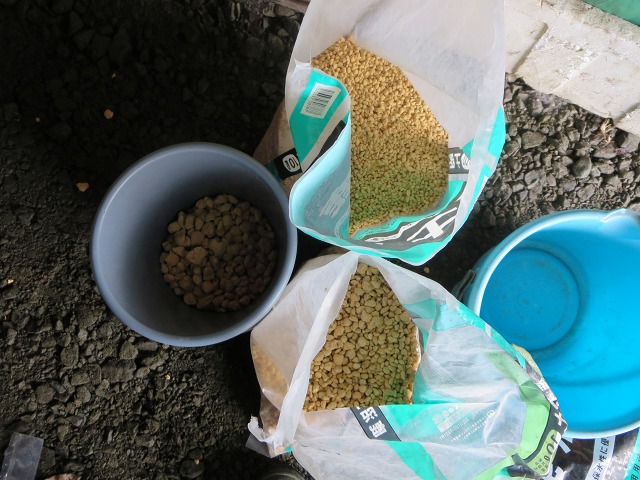 ファイル 42-6.jpg