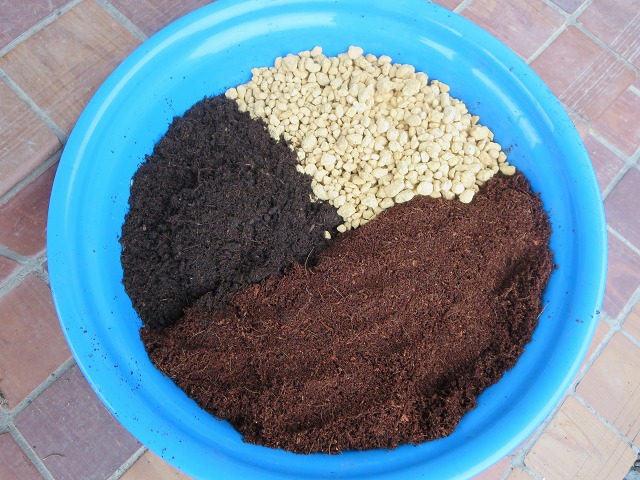 ファイル 42-7.jpg