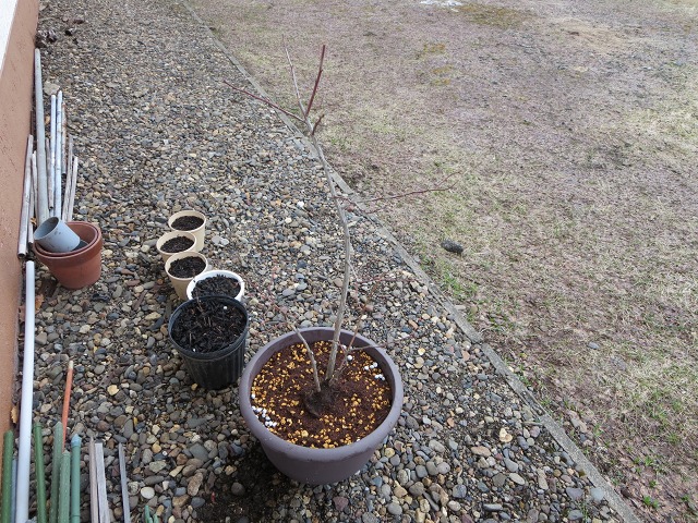 ファイル 42-8.jpg