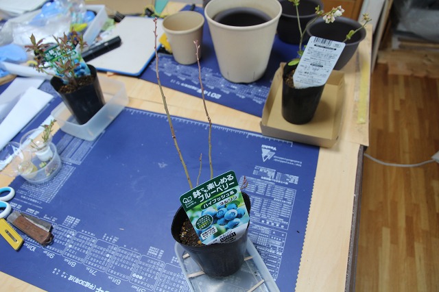 ファイル 45-3.jpg