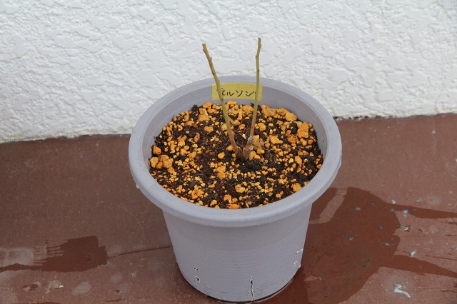 ファイル 45-4.jpg