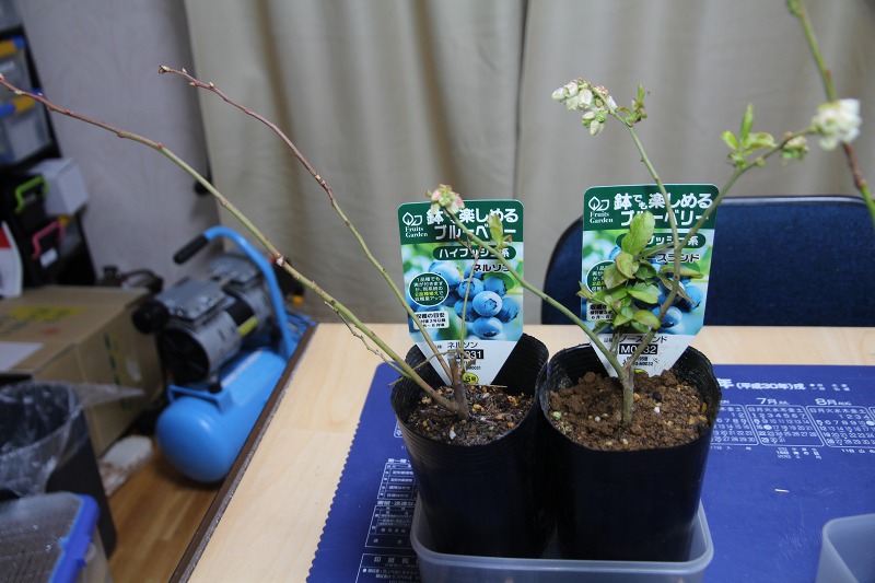 ファイル 45-5.jpg