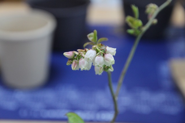 ファイル 45-6.jpg