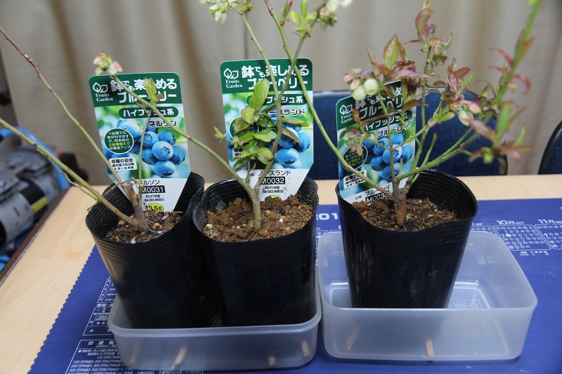 ファイル 45-7.jpg