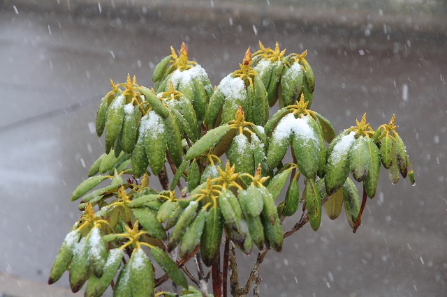 ファイル 47-2.jpg