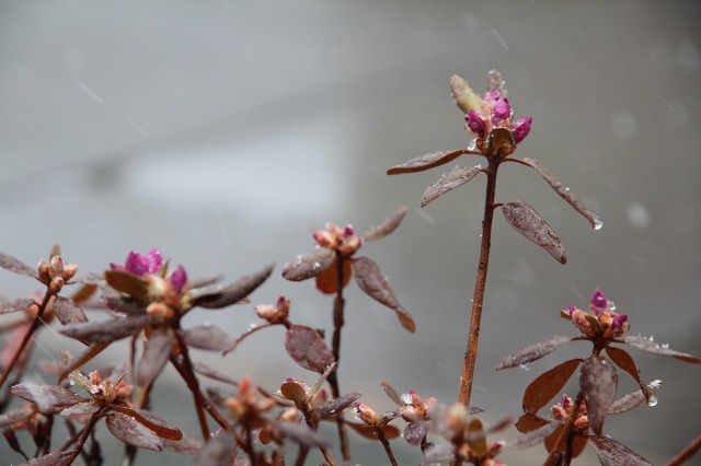 ファイル 47-3.jpg