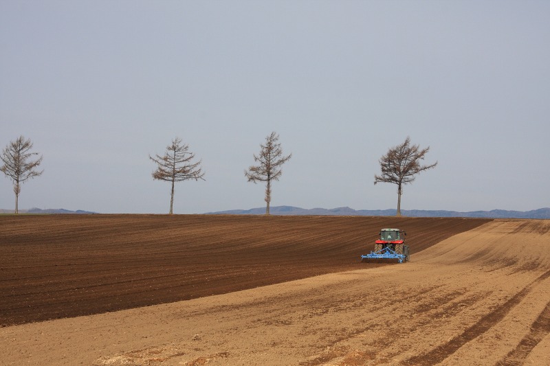 ファイル 48-1.jpg