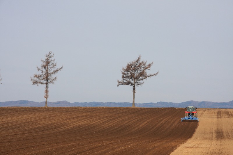 ファイル 48-2.jpg