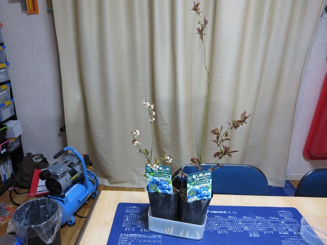 ファイル 49-1.jpg