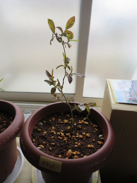 ファイル 49-2.jpg