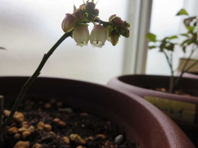 ファイル 49-4.jpg