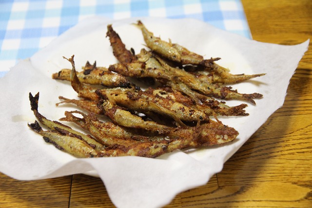 ファイル 5-2.jpg