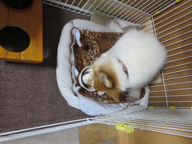 ファイル 51-1.jpg