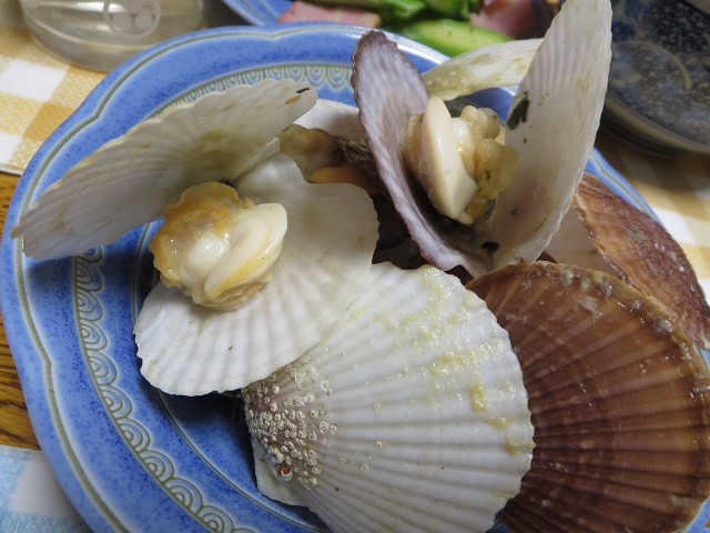 ファイル 51-2.jpg