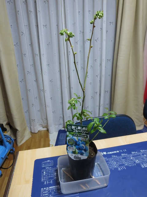 ファイル 51-6.jpg