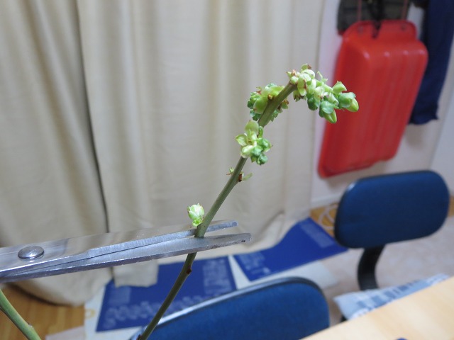 ファイル 51-8.jpg