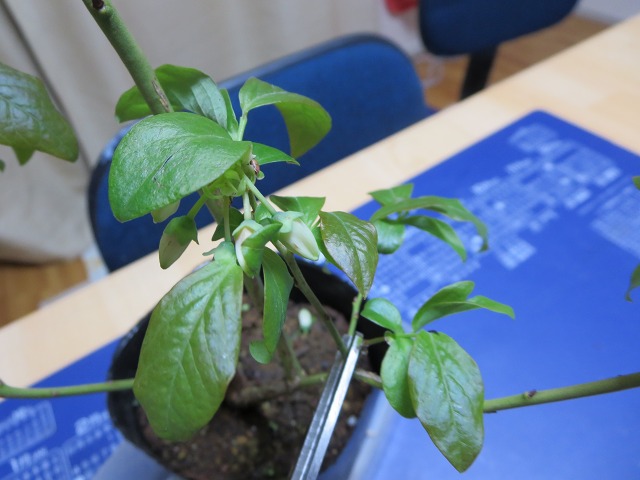 ファイル 51-9.jpg