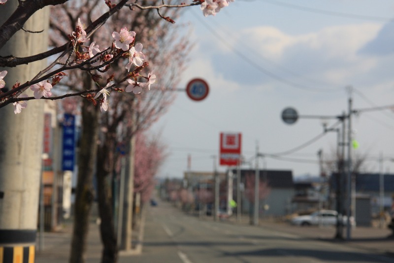 ファイル 52-1.jpg