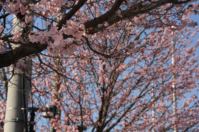 ファイル 52-2.jpg