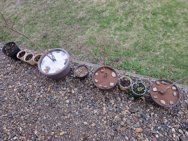 ファイル 52-6.jpg