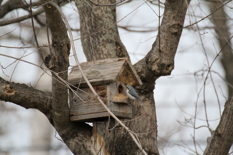 ファイル 53-1.jpg