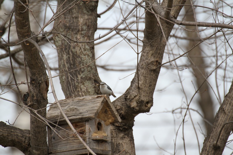 ファイル 53-2.jpg