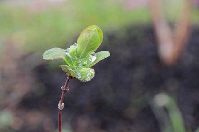 ファイル 54-6.jpg