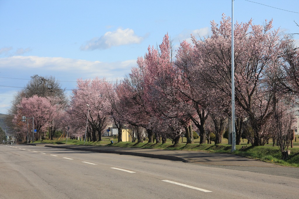 ファイル 55-1.jpg