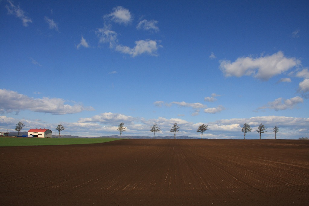 ファイル 55-2.jpg