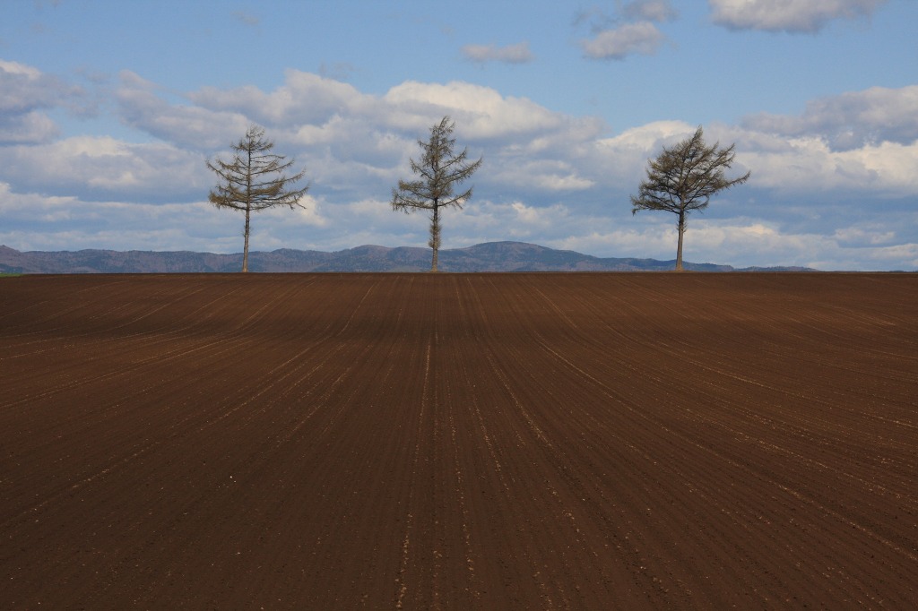 ファイル 55-3.jpg