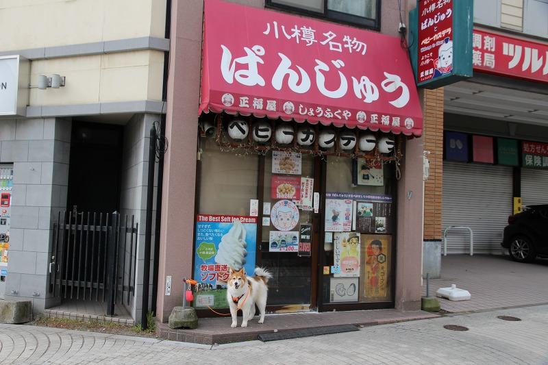 ファイル 56-5.jpg