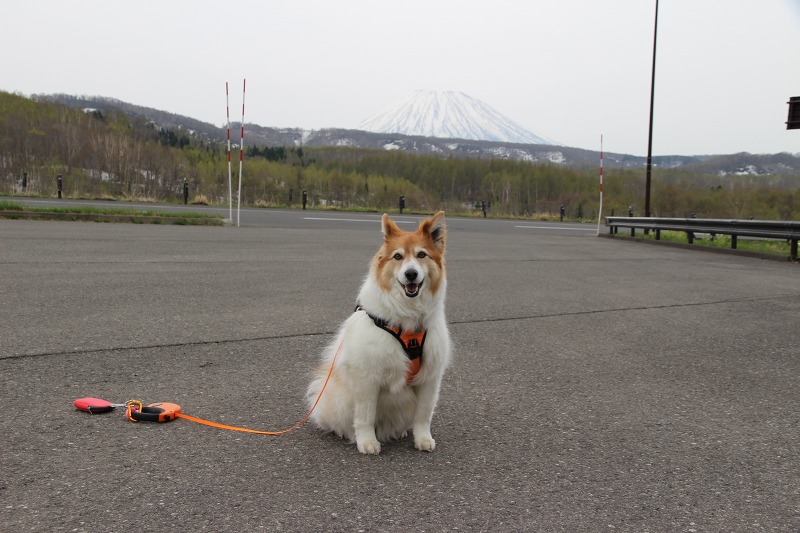 ファイル 56-6.jpg