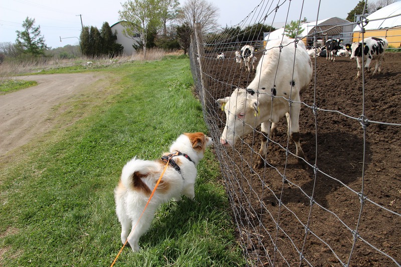 ファイル 56-9.jpg