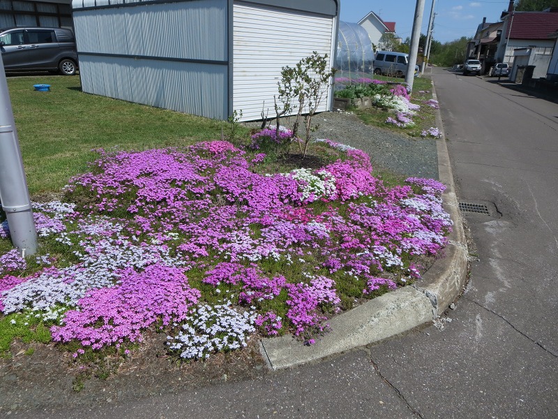 ファイル 57-2.jpg