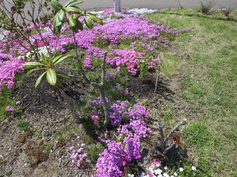 ファイル 57-3.jpg