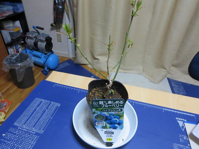 ファイル 58-2.jpg