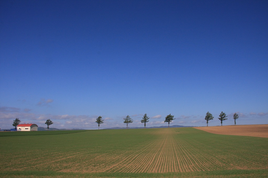 ファイル 59-1.jpg