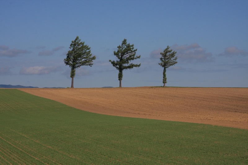 ファイル 59-2.jpg