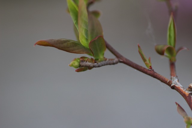 ファイル 59-3.jpg